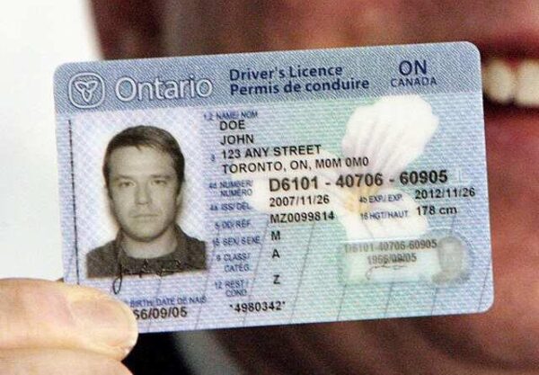 Canadian Driver's License - Image 2